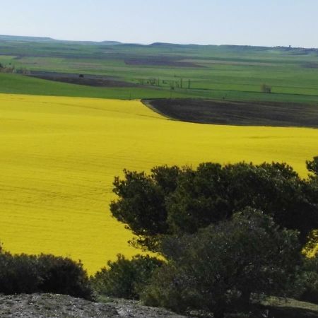Appartamento La Aldea Colorada Mota del Marqués Esterno foto