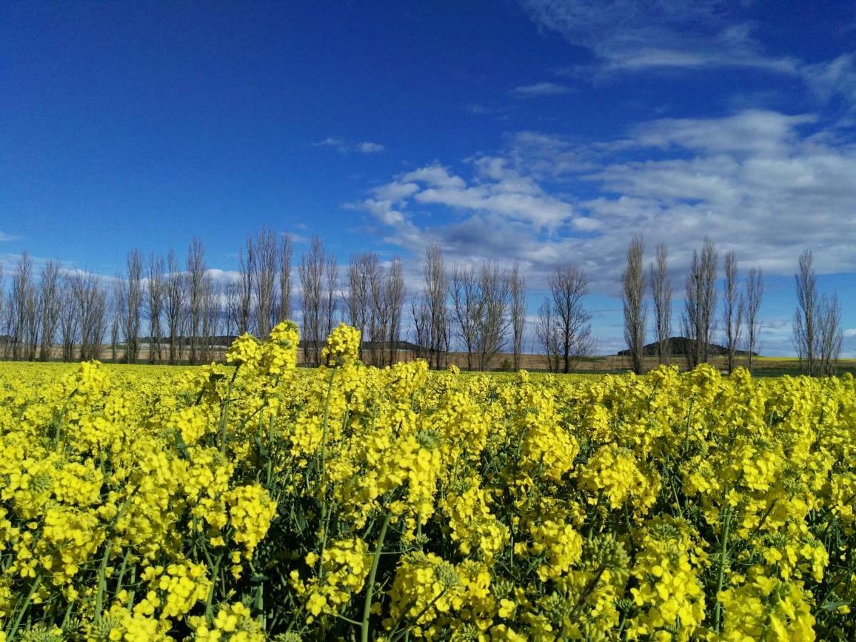 Appartamento La Aldea Colorada Mota del Marqués Esterno foto