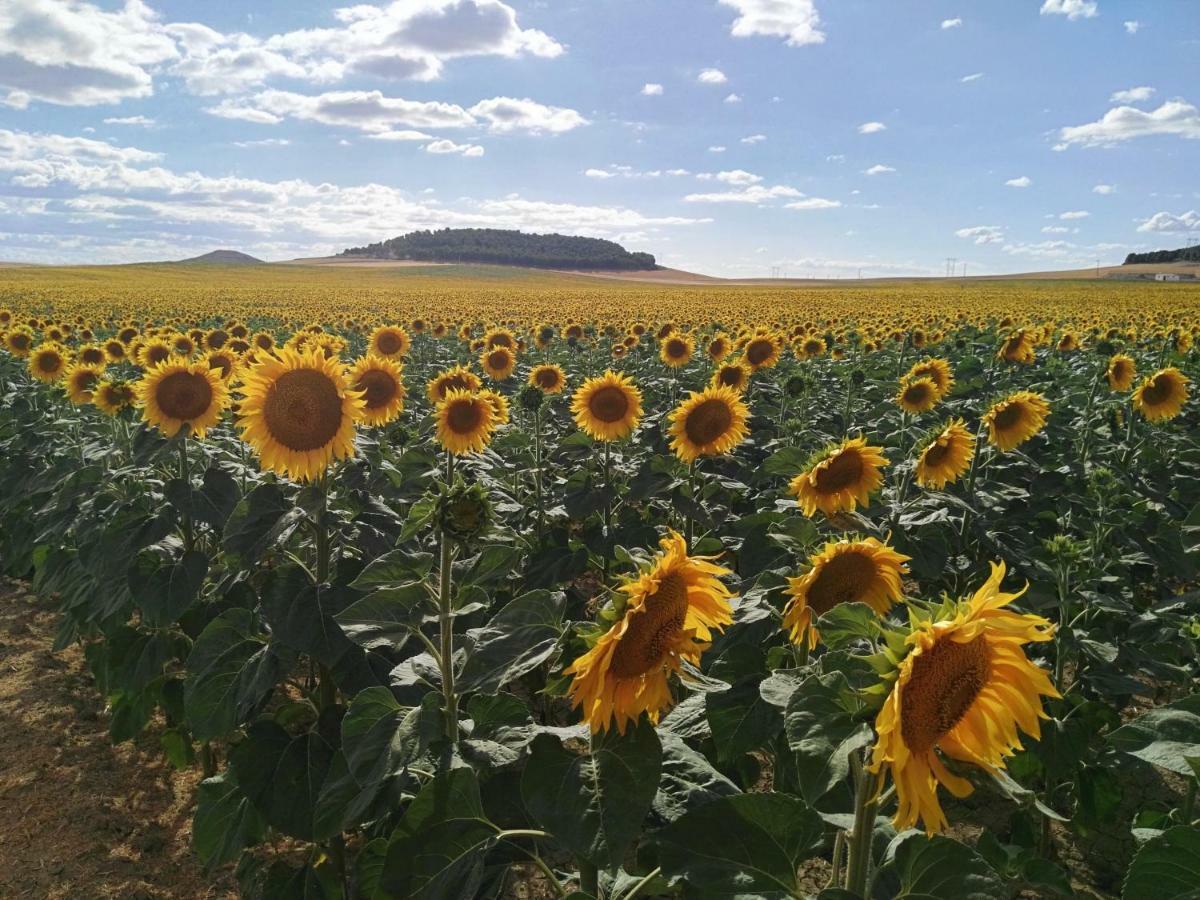 Appartamento La Aldea Colorada Mota del Marqués Esterno foto